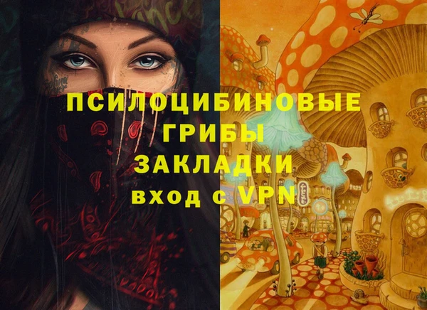 прущая мука Бородино