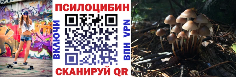 Псилоцибиновые грибы Psilocybe  Кировск 
