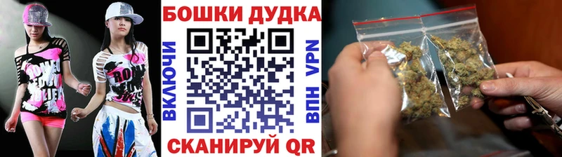 Канабис план  купить наркотик  Кировск 
